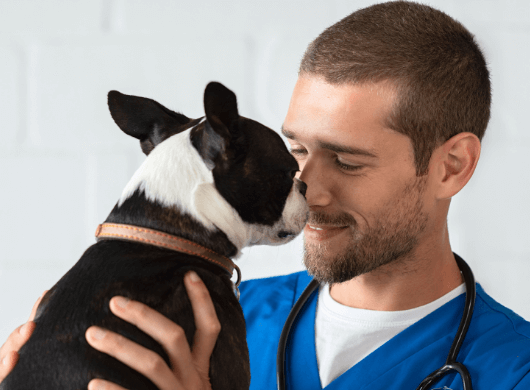 a male vet holding a dog nose to nose