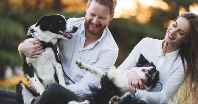 a couple holding their dogs and smiling